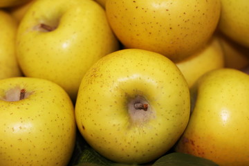  Yellow apples