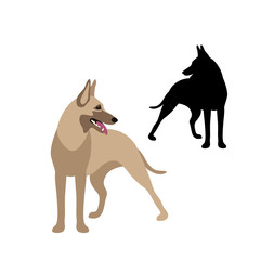 Shepherd dog vector illustration style Flat set