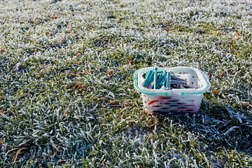 Frozen plastic clothes pegs on grass with leaves