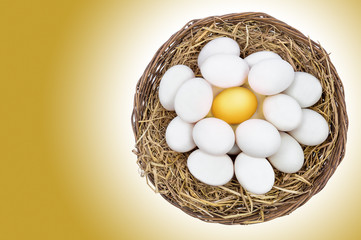 Golden egg on among white eggs with concept of uniqueness.
