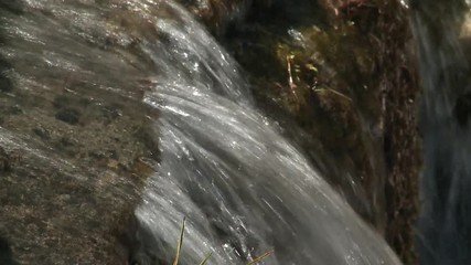 Torrente in bosco trentino