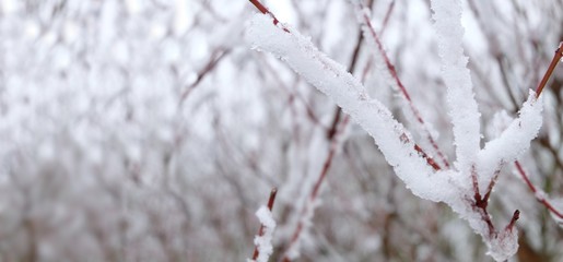 Winterlandschaft