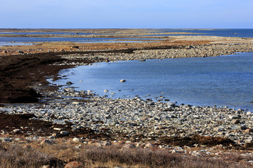 Die Küste der Hudson Bay