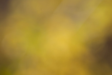 Bokeh Background