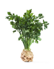 celeriac or root celery with leafs