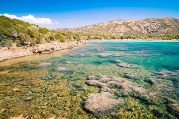 Fototapeta premium Tuerredda, one of the most beautiful beaches in Sardinia.