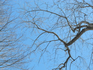 Woodbine Beach, Toronto, Ontario, Canada landscapes