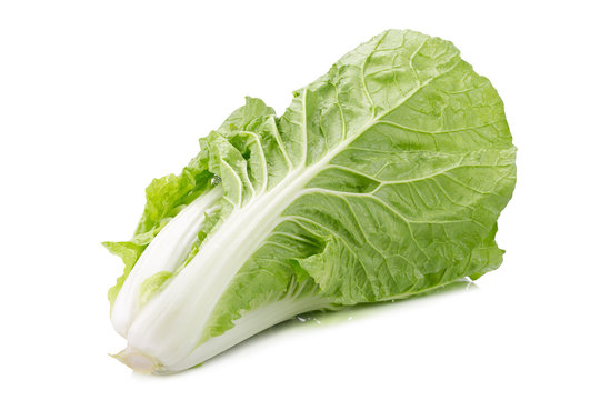 fresh napa cabbage on white background.