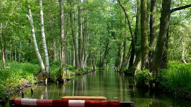 Spreewald Kahnfahrt durch den Wald