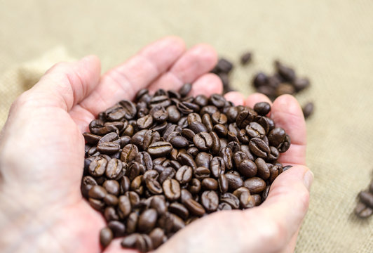 Roasted coffee beans are held in the hand
