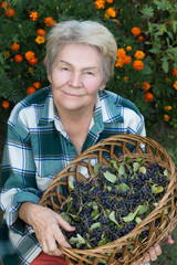 Grandmother sitting with a basket of ash and sweet looking at the camera with a slight smile. Medium shot outdoors.