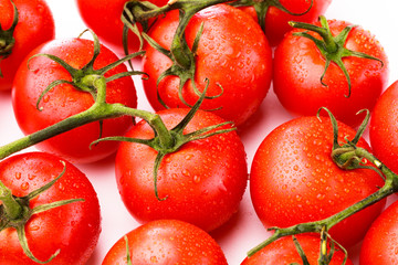 Bunches of fresh ripe tomatoes with a green vine stems and water droplets on a white background