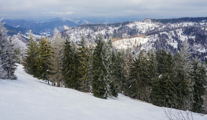 Snowy Smereka on the background of the mountains