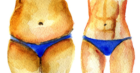 watercolor sketch of fat and slim torso on white background