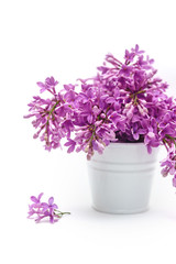 White bucket with lilac on a background