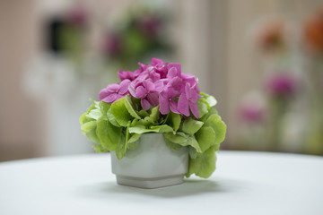 small bouquet of pink hydrangea