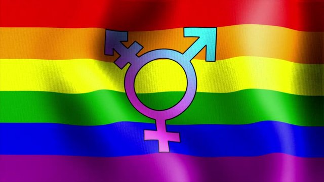 10595 waving rainbow flag transgender
