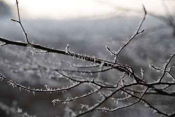 Winterlandschaft mit Raureif