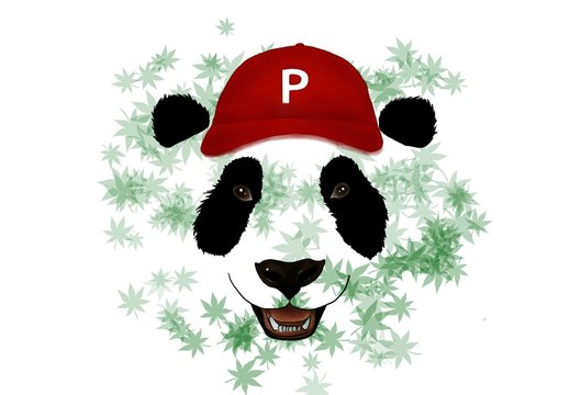 Digital Panda drawing