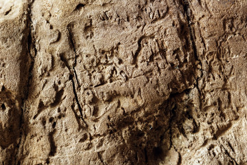 Part of the old worm-eaten wood