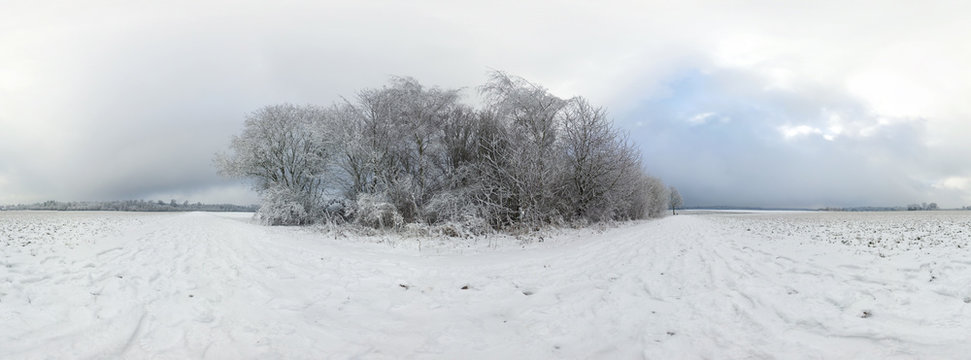 Beautiful winter forest 360 degrees panorama