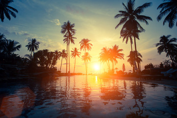 Plakat Beautiful sunset among the palms on a tropical beach.