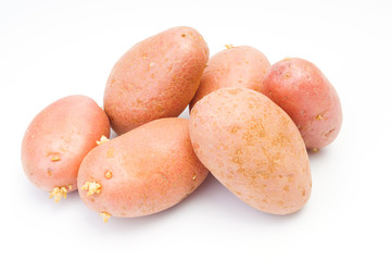 Red potatoes on white background