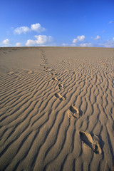 足跡 (鳥取砂丘)