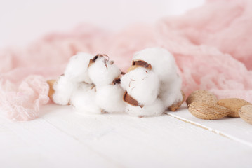 Fototapeta na wymiar almonds and cotton with rose textile on white wooden table. selec