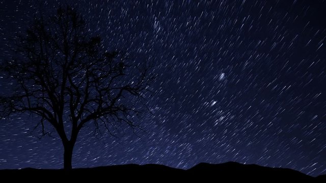 10941 4k UHD night sky stars tree time lapse star trail
