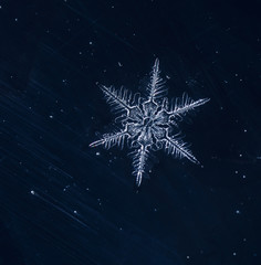 natural snowflakes, photo real snowflakes during a snowfall, under natural conditions at low temperature