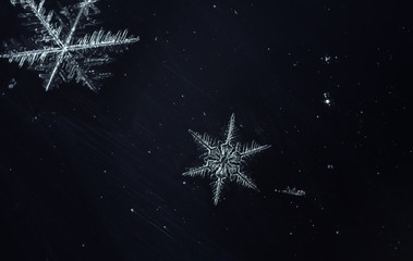 natural snowflakes, photo real snowflakes during a snowfall, under natural conditions at low temperature