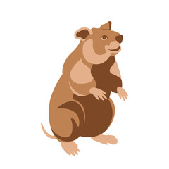 hamster  vector illustration Flat style