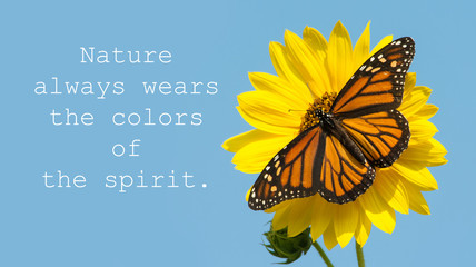 Nature always wears the colors of the spirit - quote with a female Monarch butterfly on a yellow...