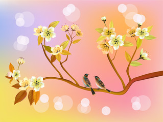 Evening in the garden blooming cherry and birds sing