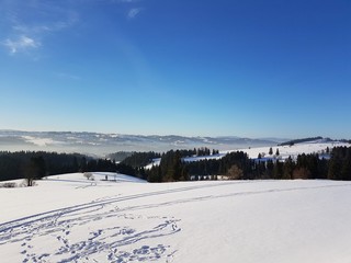 Zima