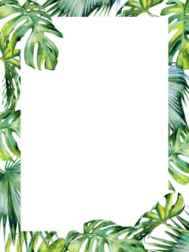 Watercolor illustration of tropical leaves, dense jungle. Hand painted. Banner with tropic summertime motif may be used as wedding or greeting card. Invitation template. Holyday or birthday greeting