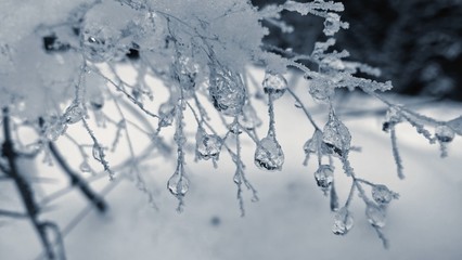 Frozen ice and snow. Slovakia