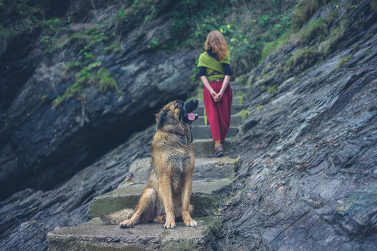 Woman walking dog in nature