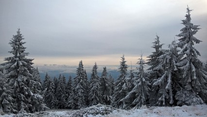 Frozen nature. Slovakia