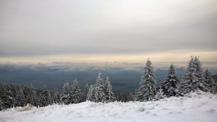 Frozen nature. Slovakia