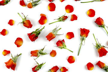 Red natural roses background
