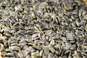Background of the roasted sunflower seeds