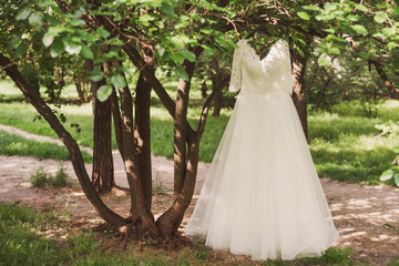 Wedding fashion. White lace wedding dress hang on the tree branch in the garden