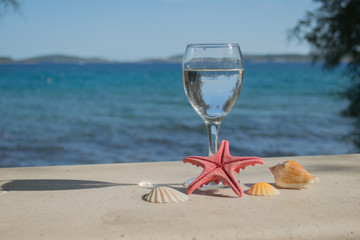 still life with shells and glass by the sea, Croatia, Orebic,