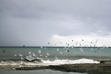 Seascape