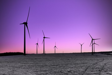 Wind turbines farm at sunset
