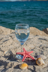 still life with shells and glass by the sea, Croatia, Orebic,
