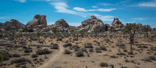 Hiking Trail in Joshua Tree National Park 