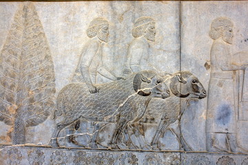 Relief in Persepolis  - ceremonial capital of the Achaemenid Empire in Iran
 - obrazy, fototapety, plakaty